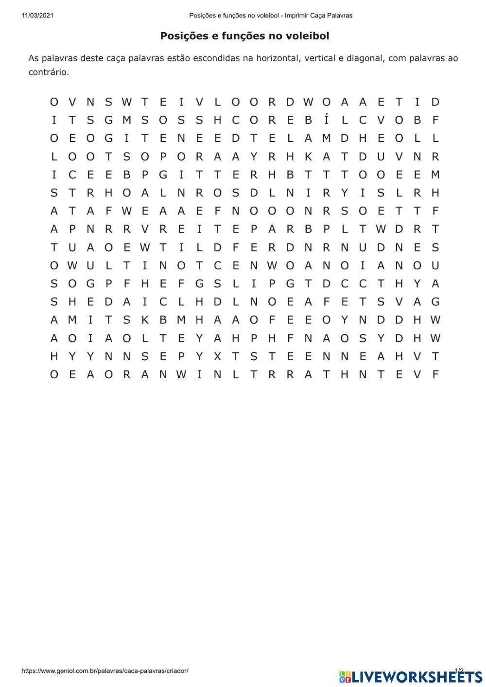 Funções no Voleibol