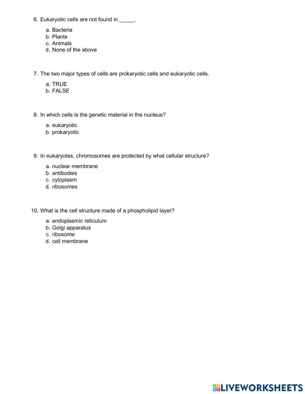 Prokaryotic and Eukaryotic Cells