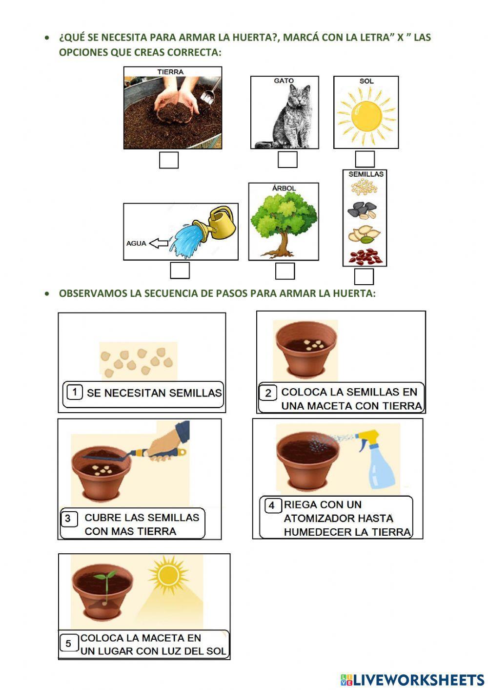 Trabajamos con la huerta ficha 1