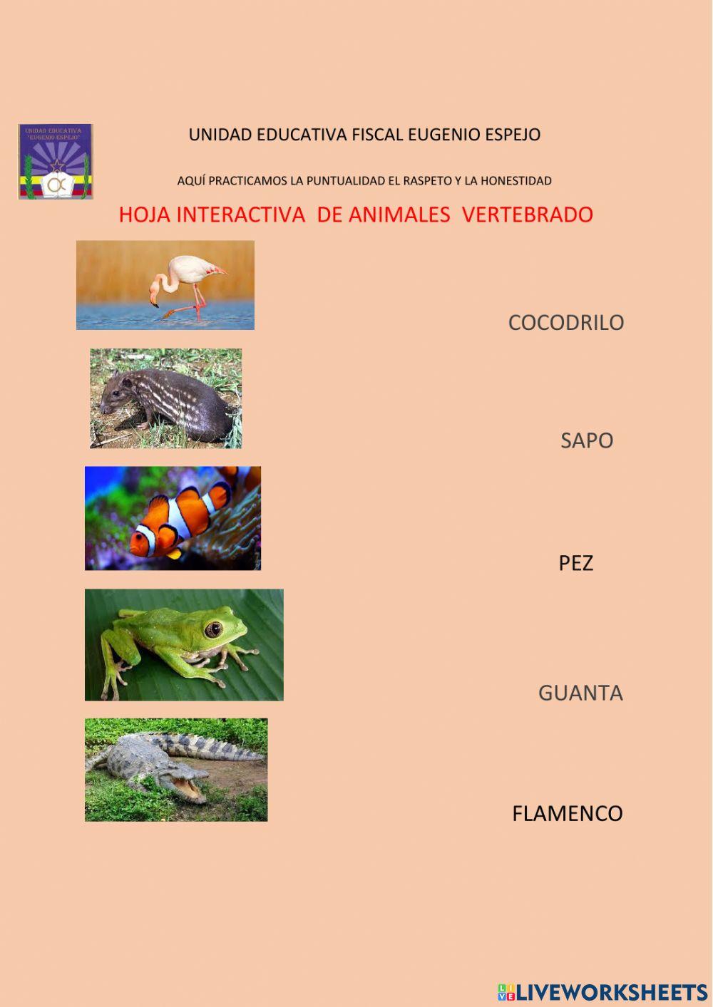 Animales Vertevrados