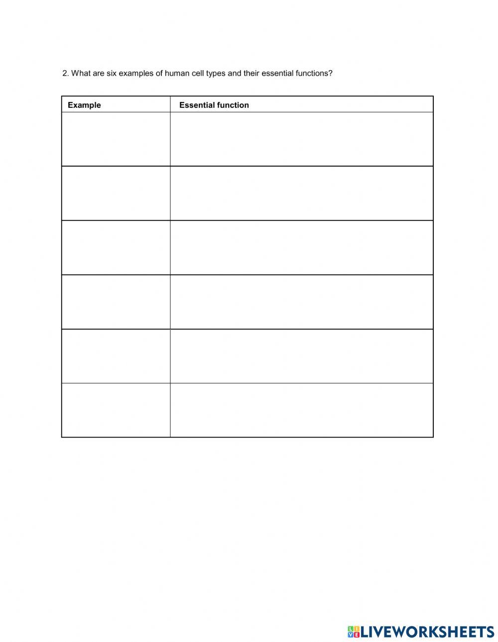 Cells and Tissue Overview