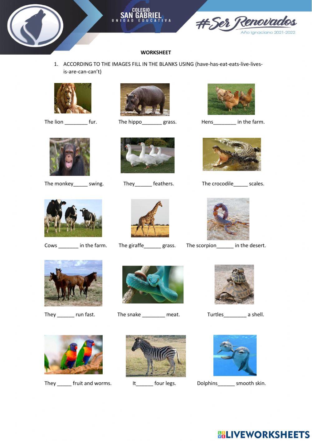 Characteristics of animals