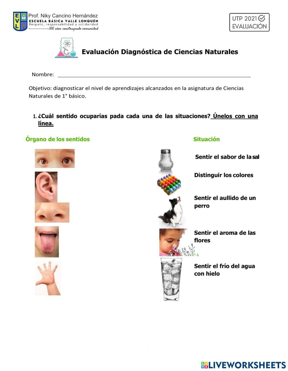 Evaluación diagnóstica Ciencias
