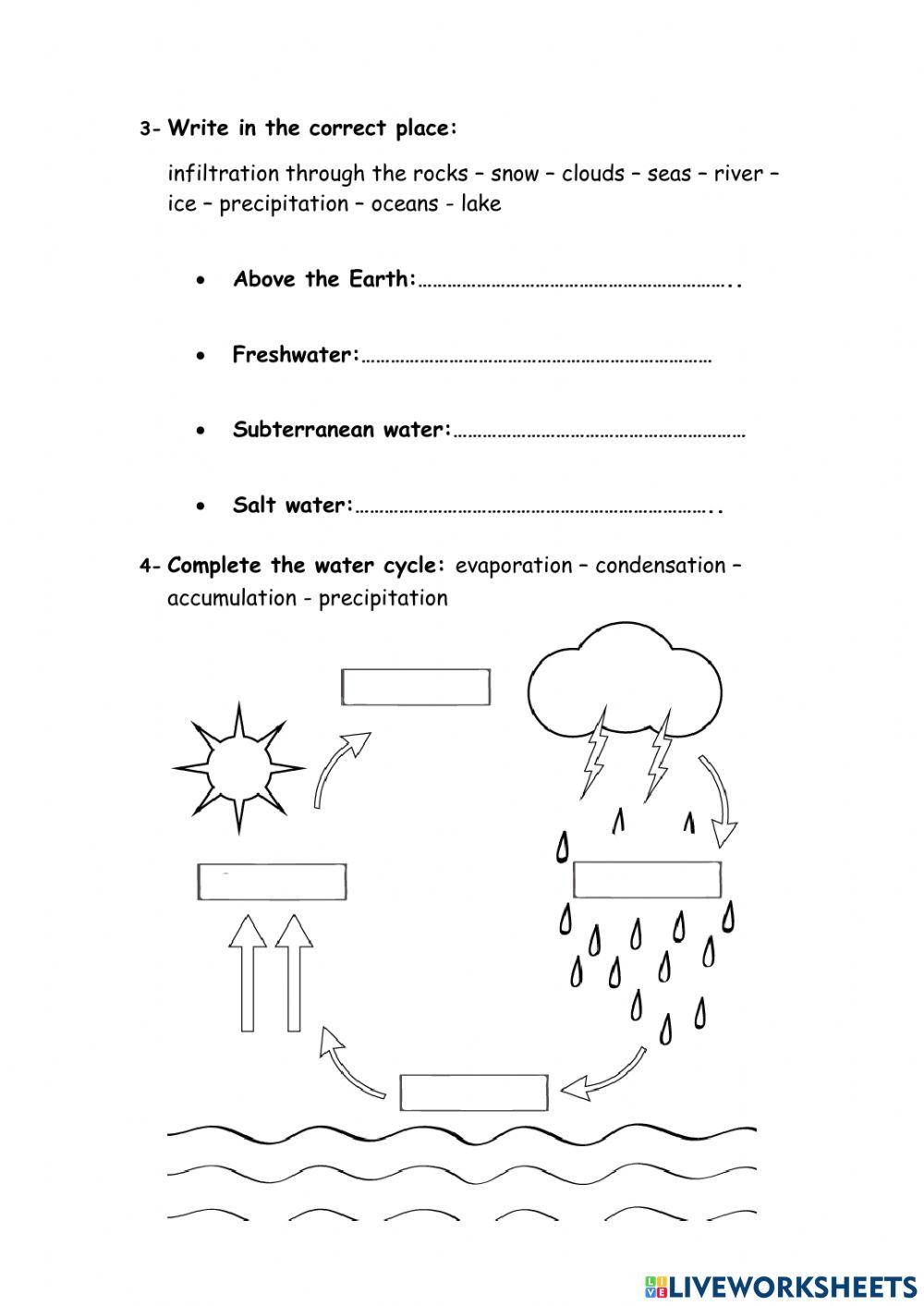 Review Lesson 4 Social