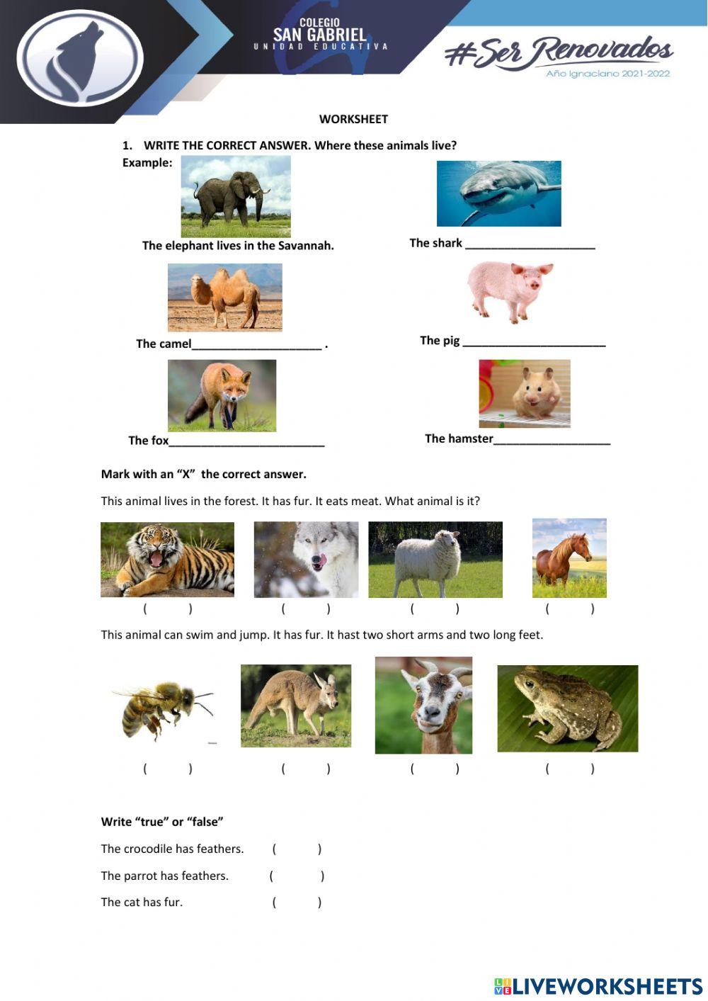 Characteristics of animals II