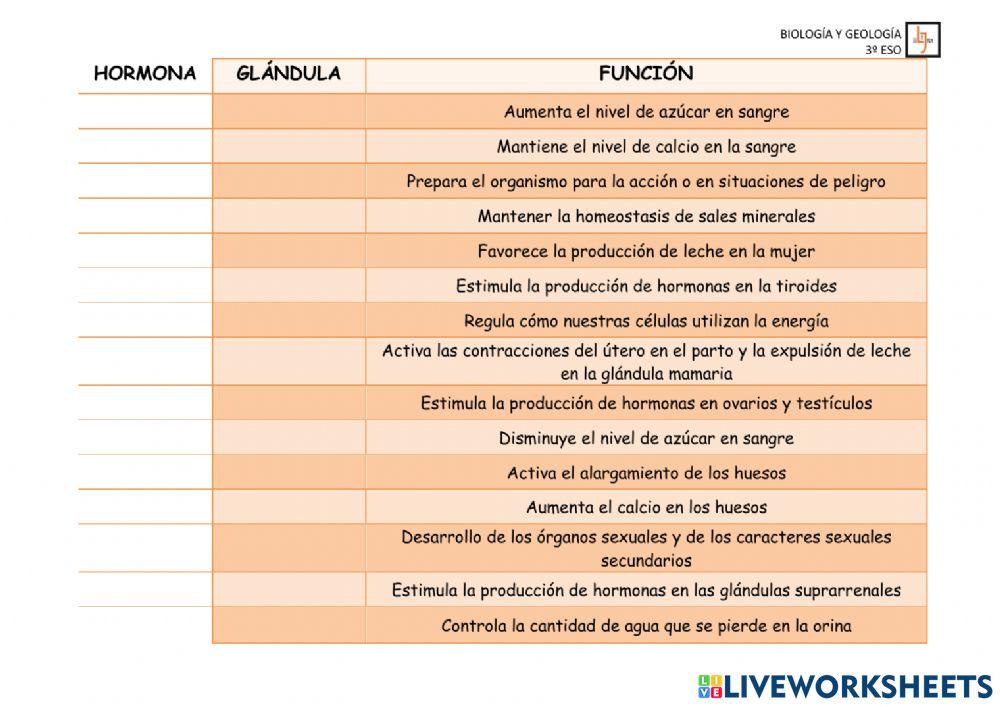 Hormona glándula y función