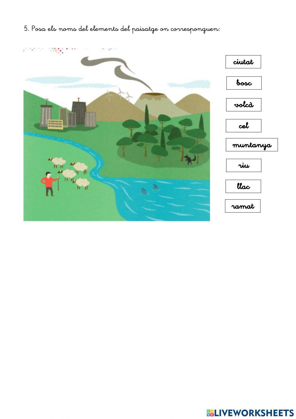 Preparar examen sociales