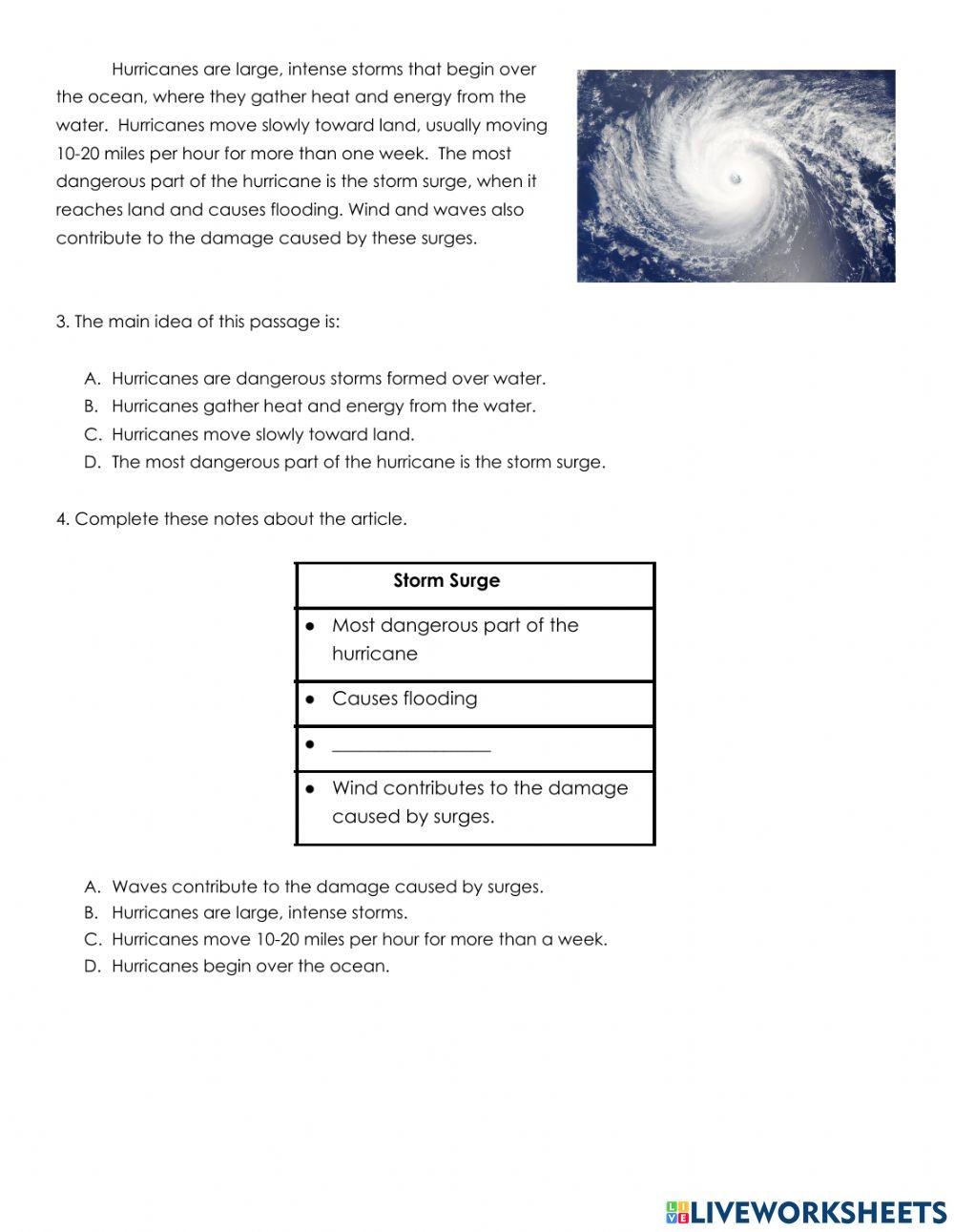Main Idea HW Practice 2