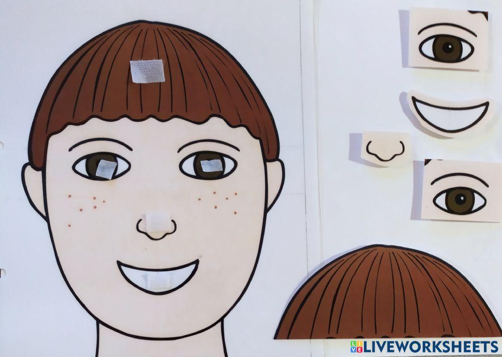 Il mio viso Live Worksheets