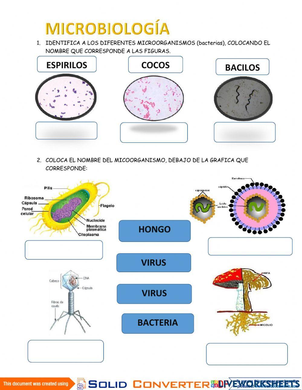 Microbiología Microbiología