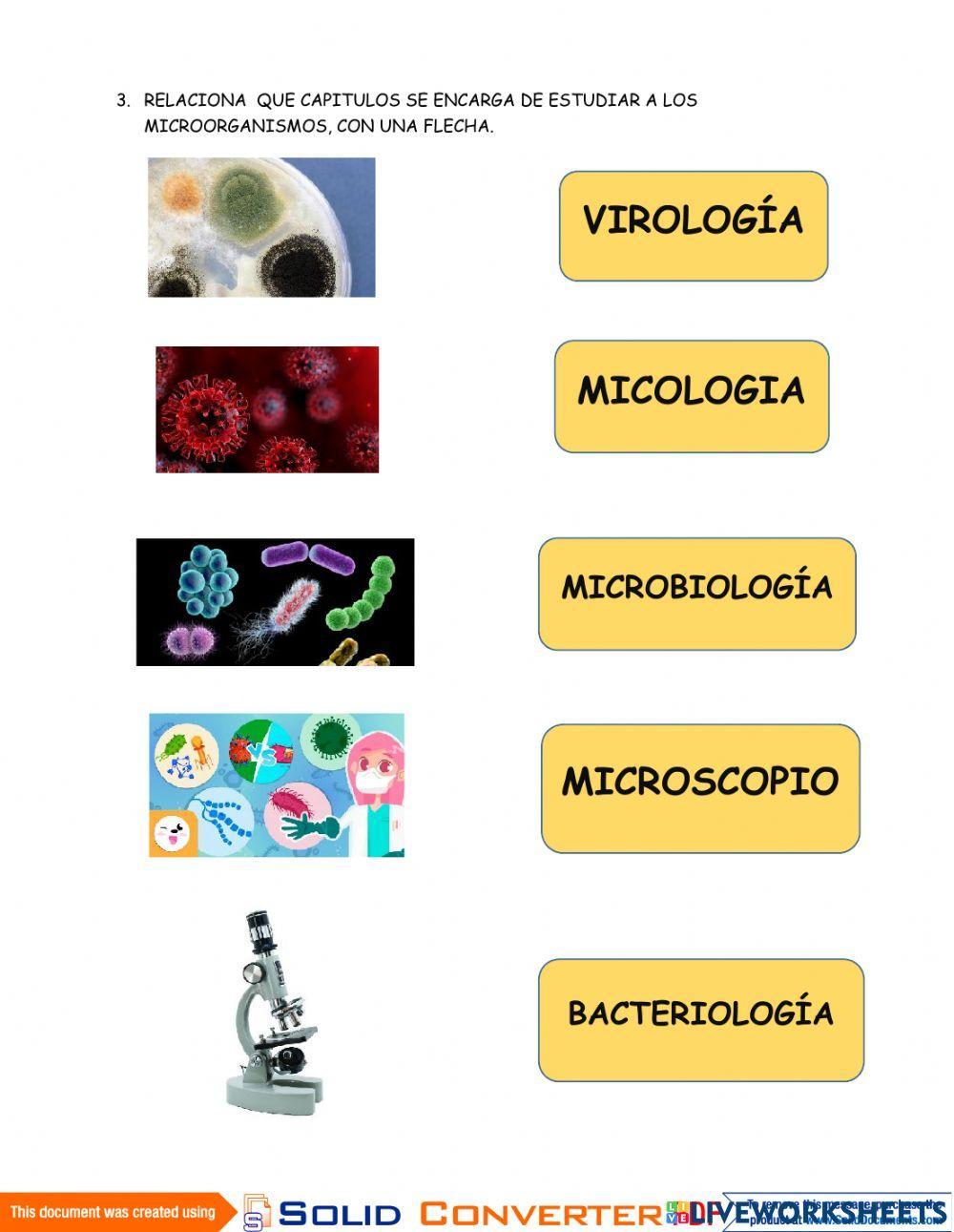 Microbiología Microbiología