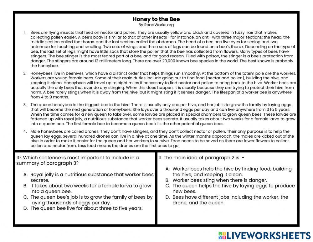 Main Idea and Supporting Details Quiz