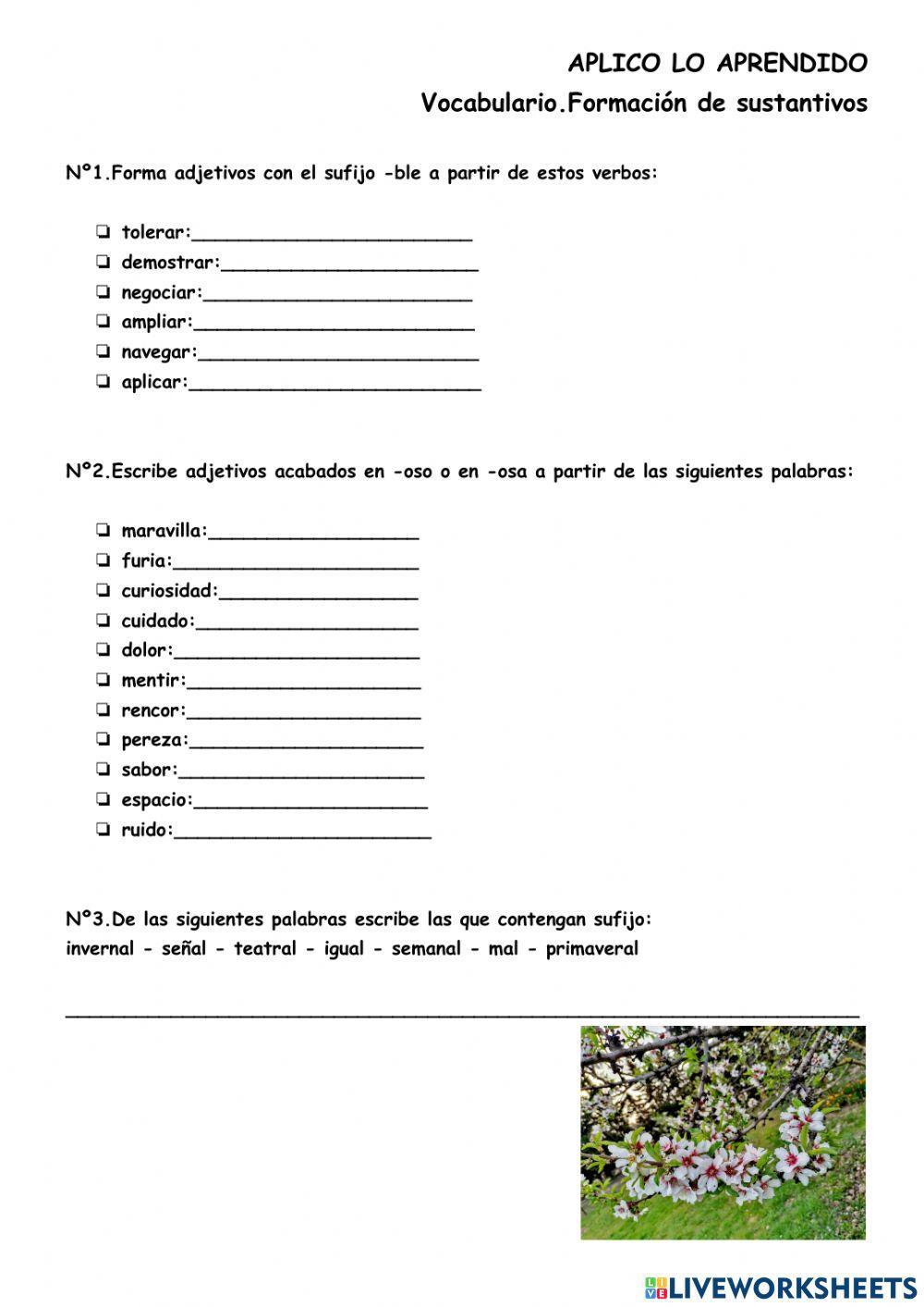 Formación de adjetivos