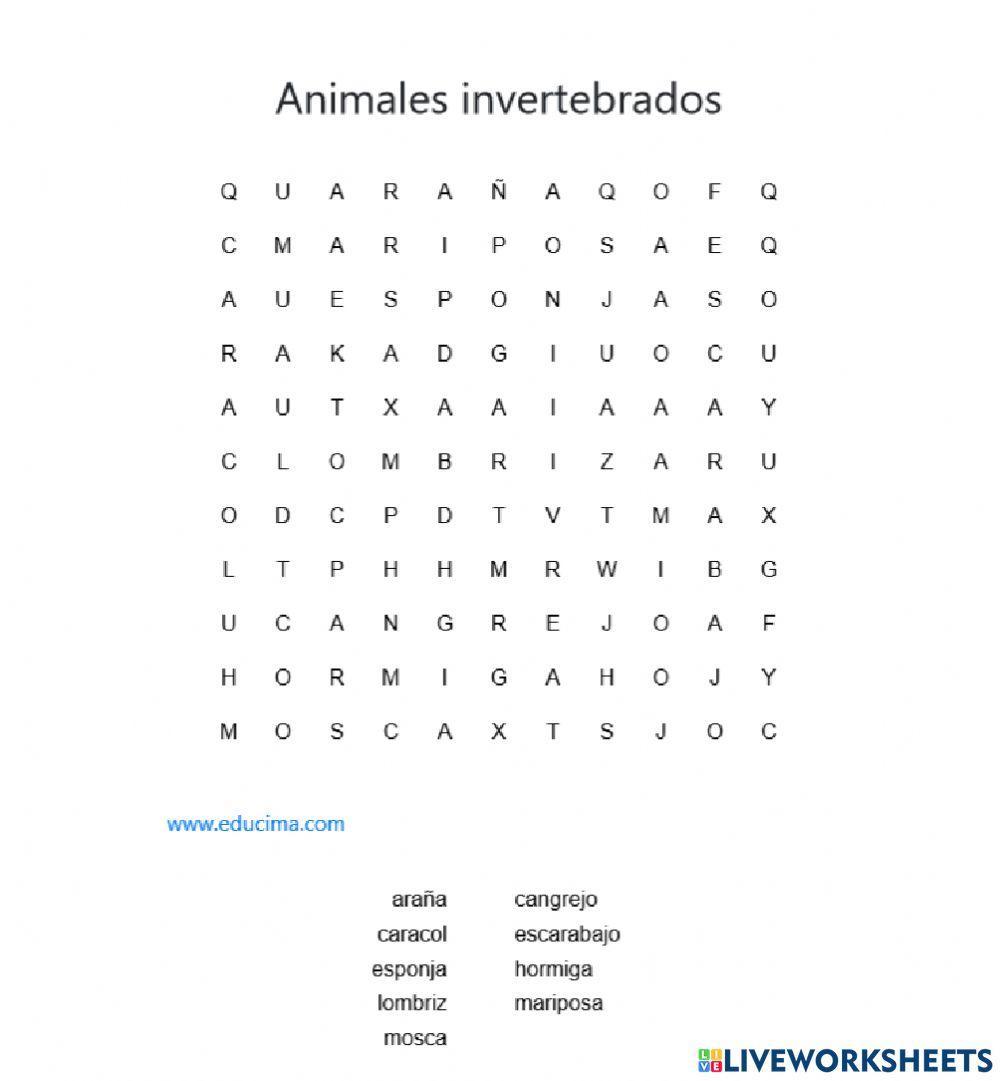 Invertebrados