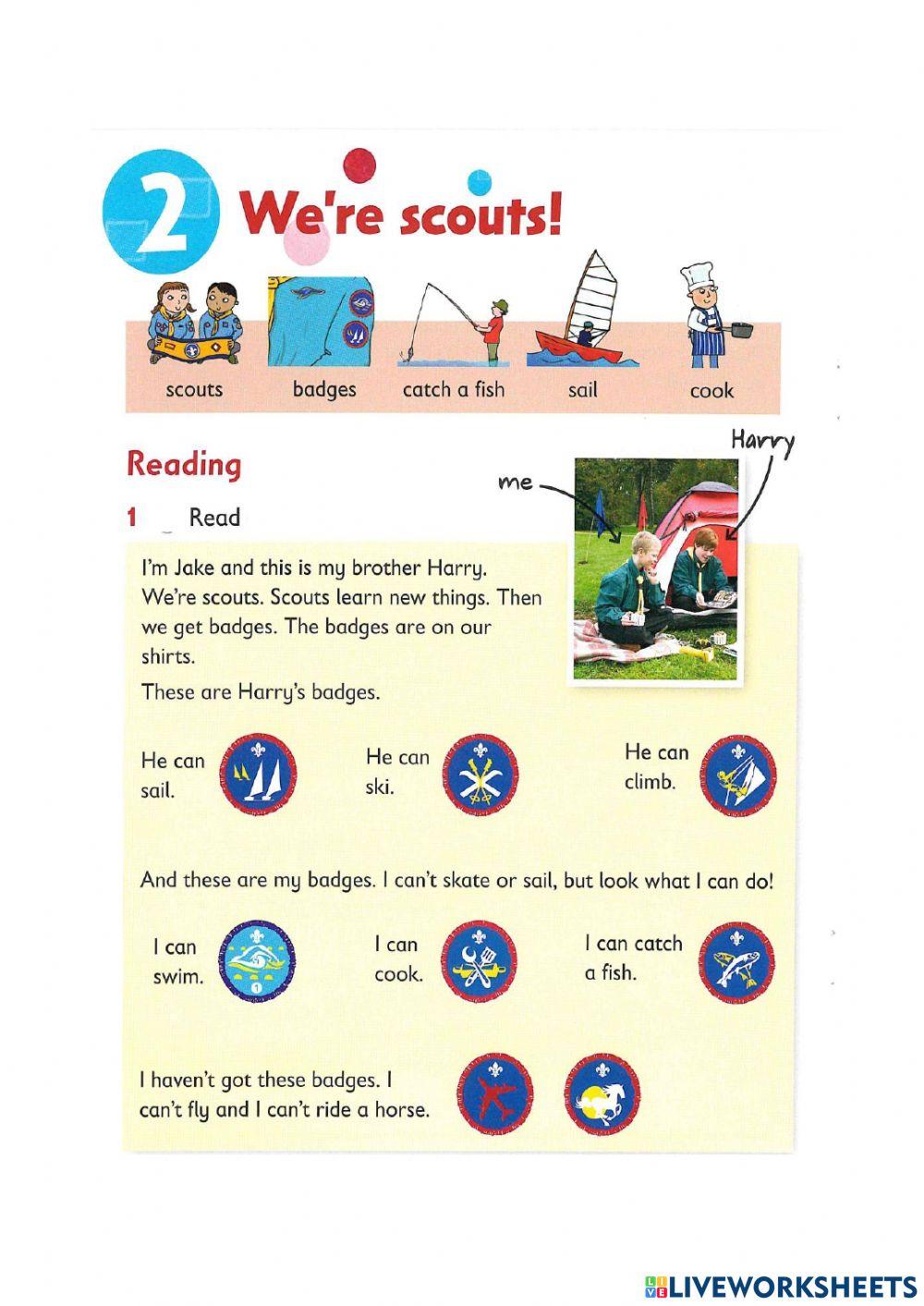 Reading and writing - we-re scouts
