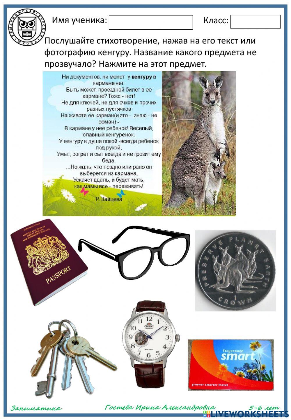 Что хранит в кармане кенгуру?