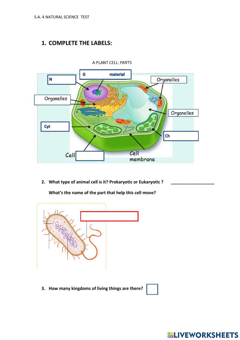 NATURAL SCIECE TEST S.A. 4