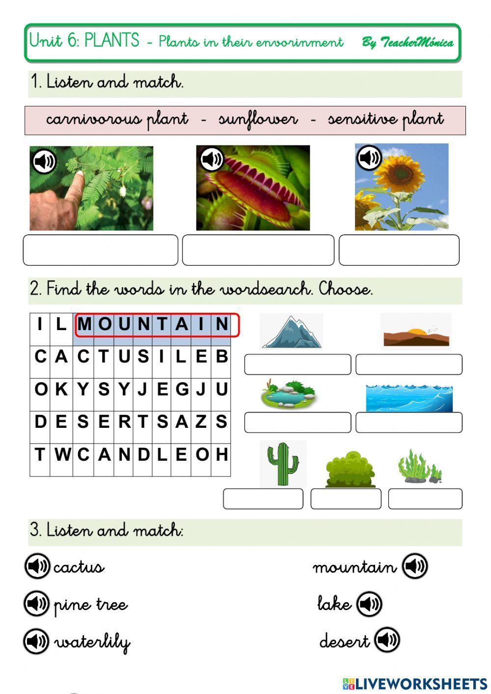 Plants in their environment