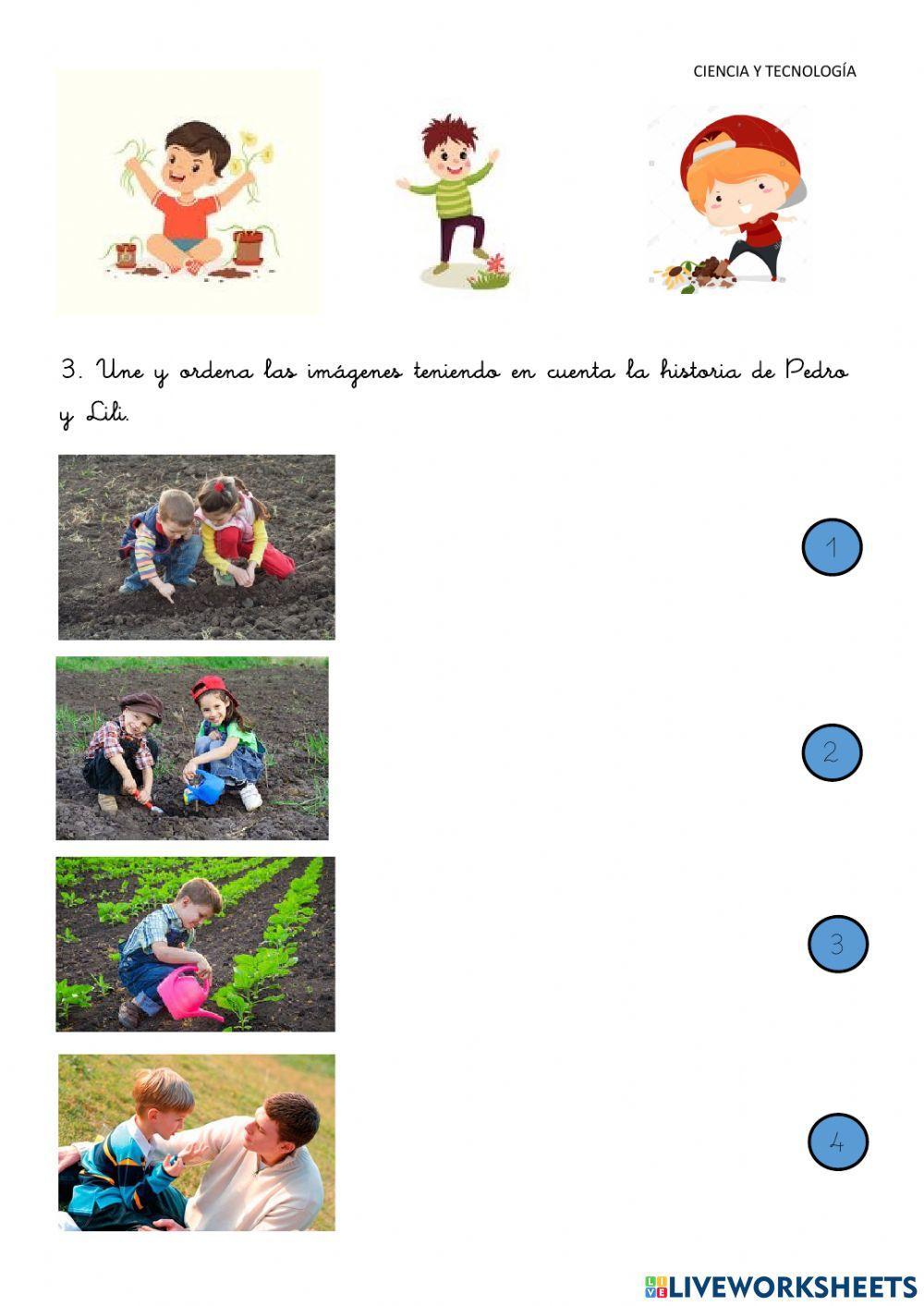 Cuidado de las plantas