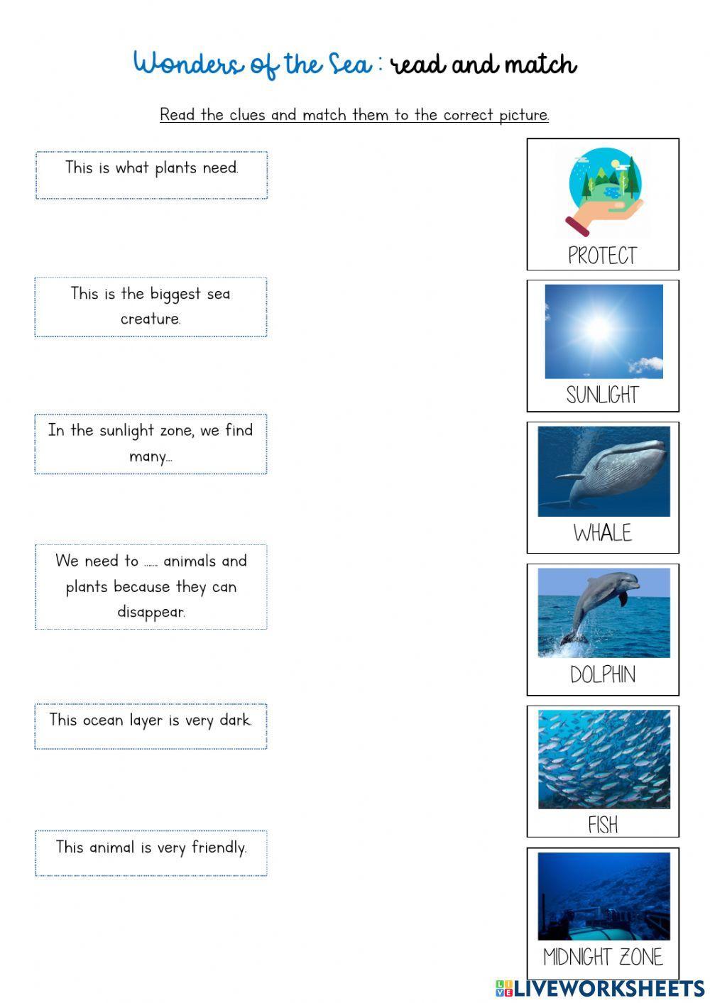 Wonders of the sea: read and match Wonders of the sea: read and match