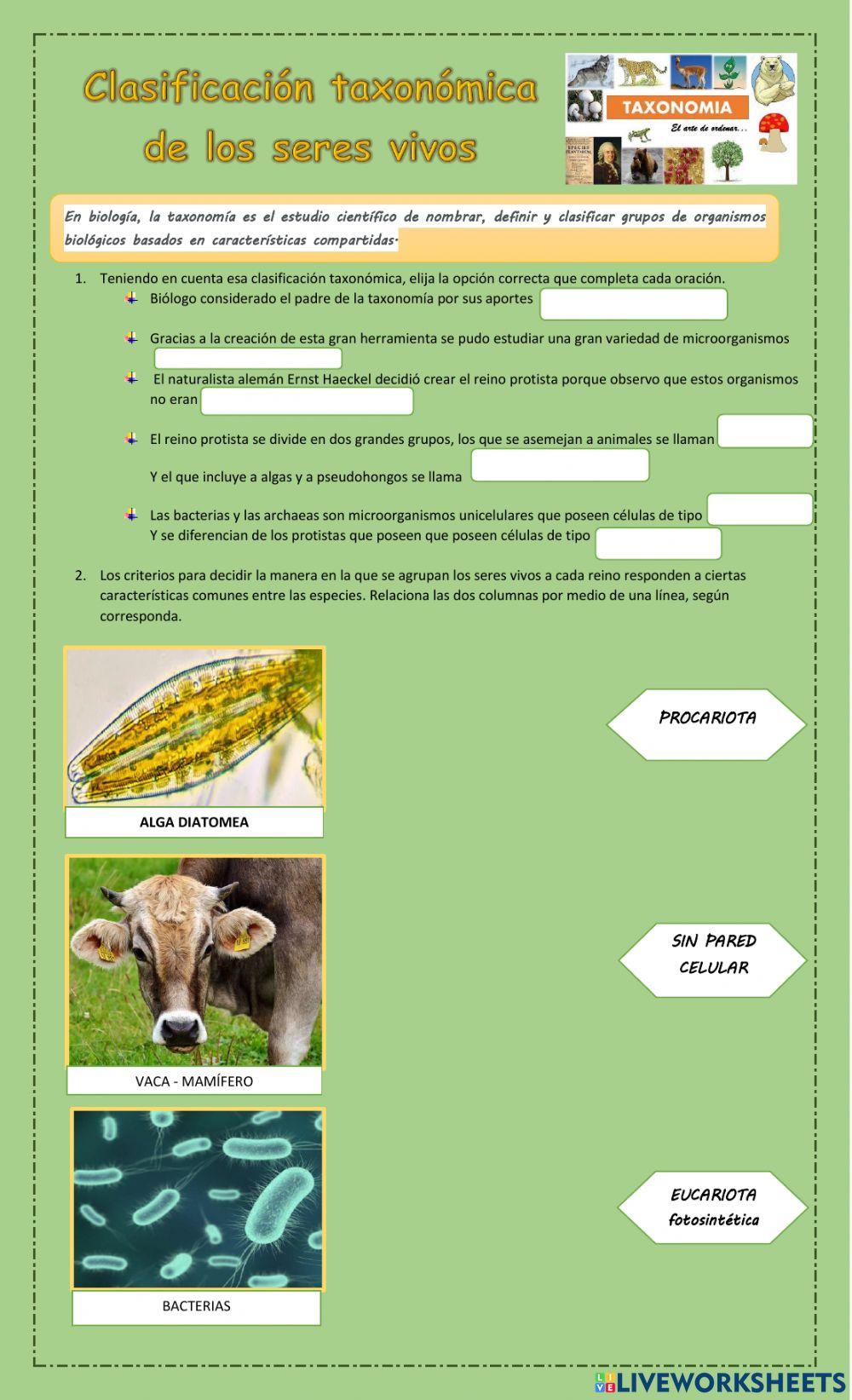 Clasificación taxonómica