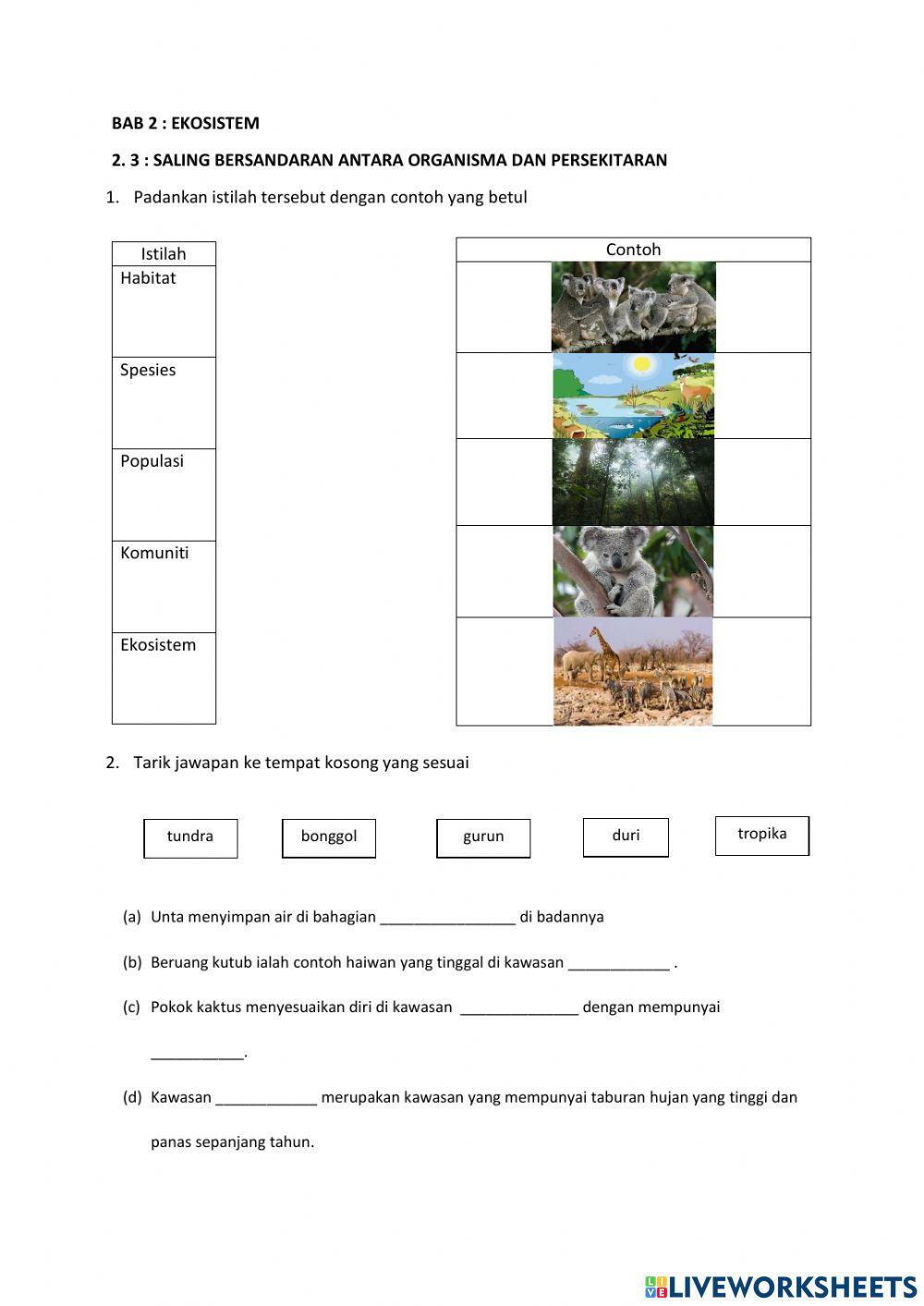 Interaksi antara organisma dan persekitaran