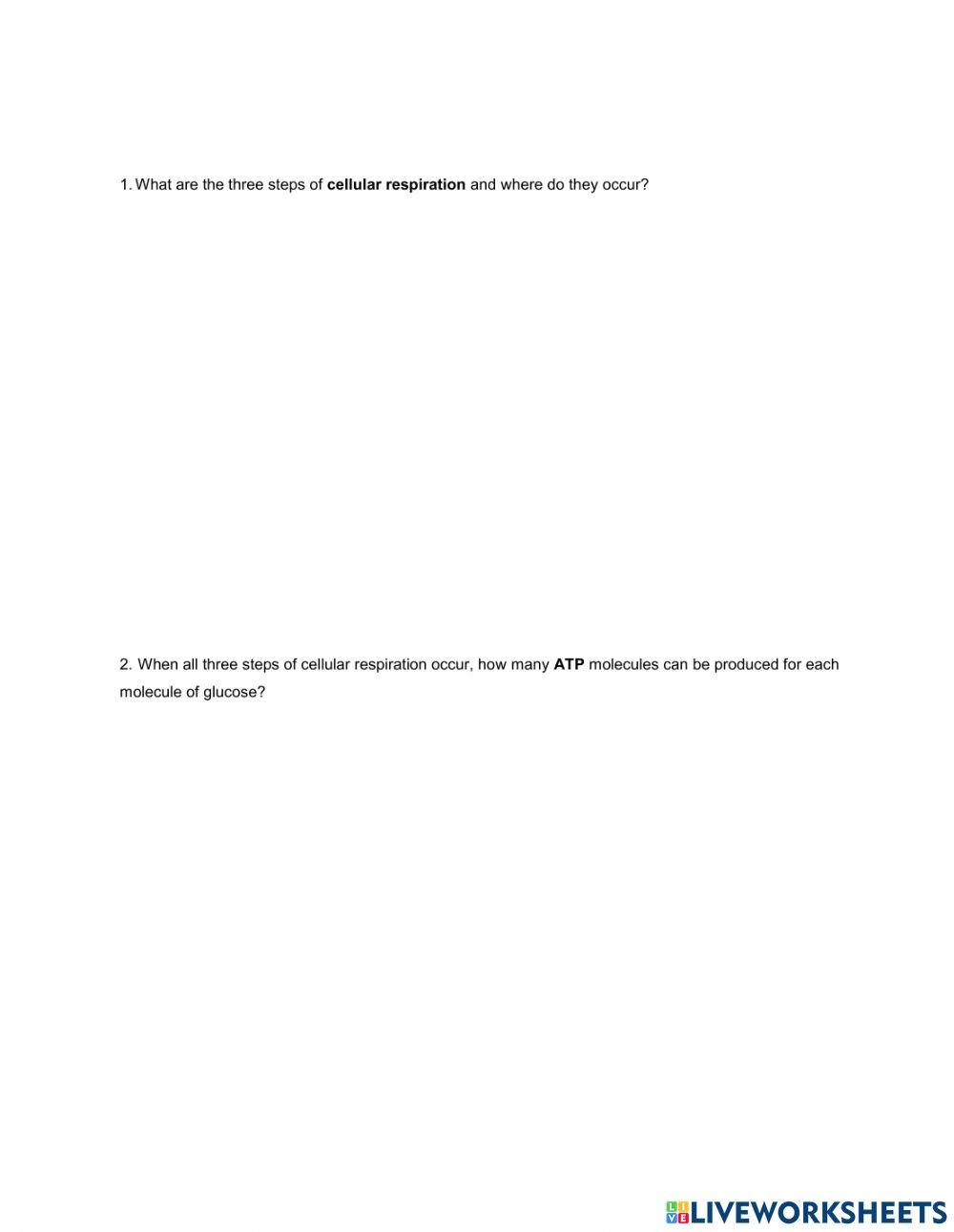 Cellular Respiration Definition