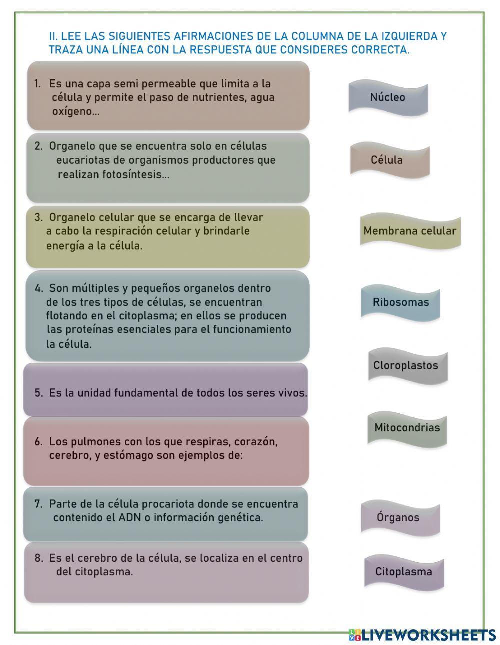 Examen Biología Primer Grado