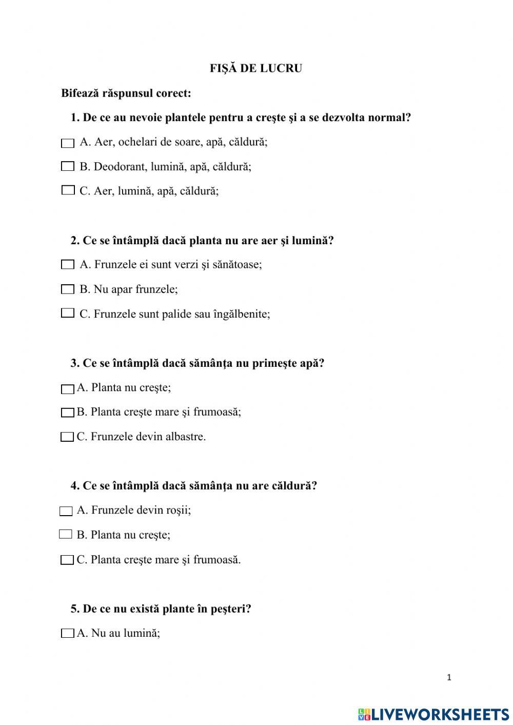Fişă de lucru