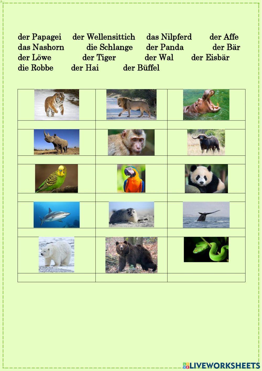 Tiere - kennst du alle?
