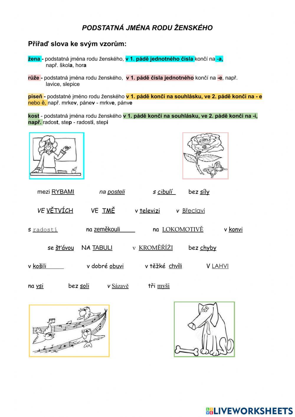 Vzory podstatných jmen rodu ženského