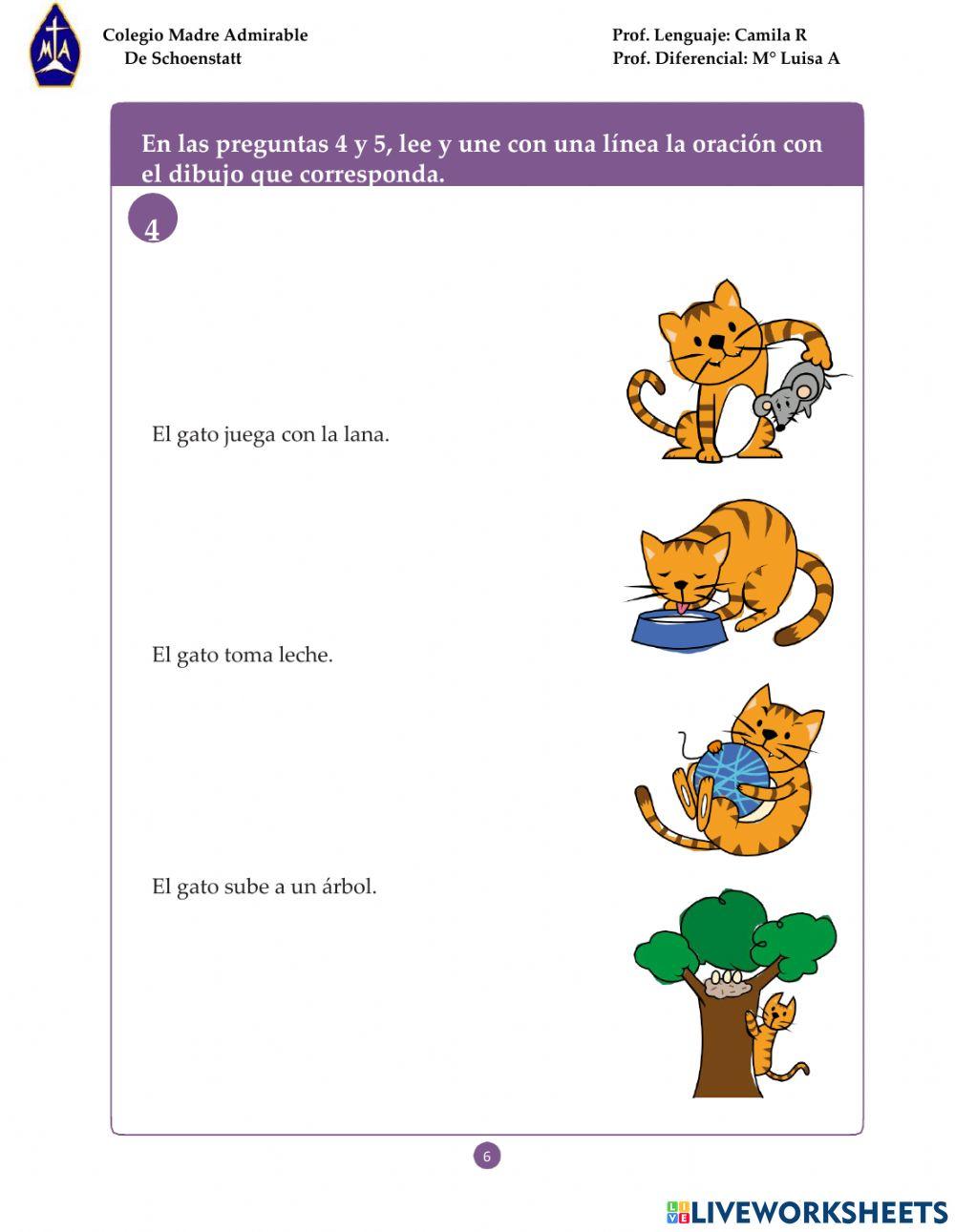 Evaluación Diagnóstica