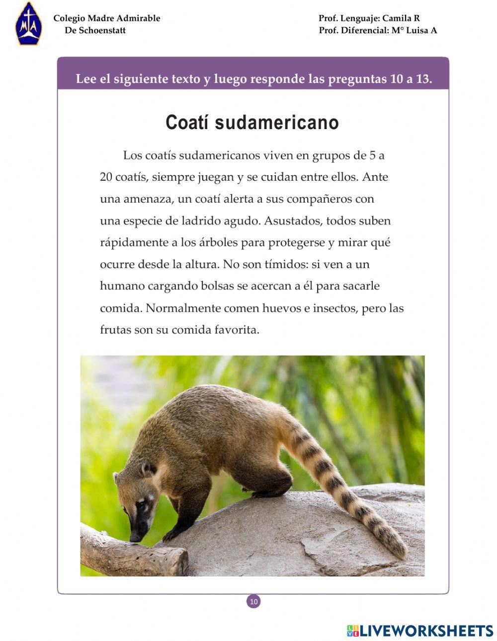 Evaluación Diagnóstica