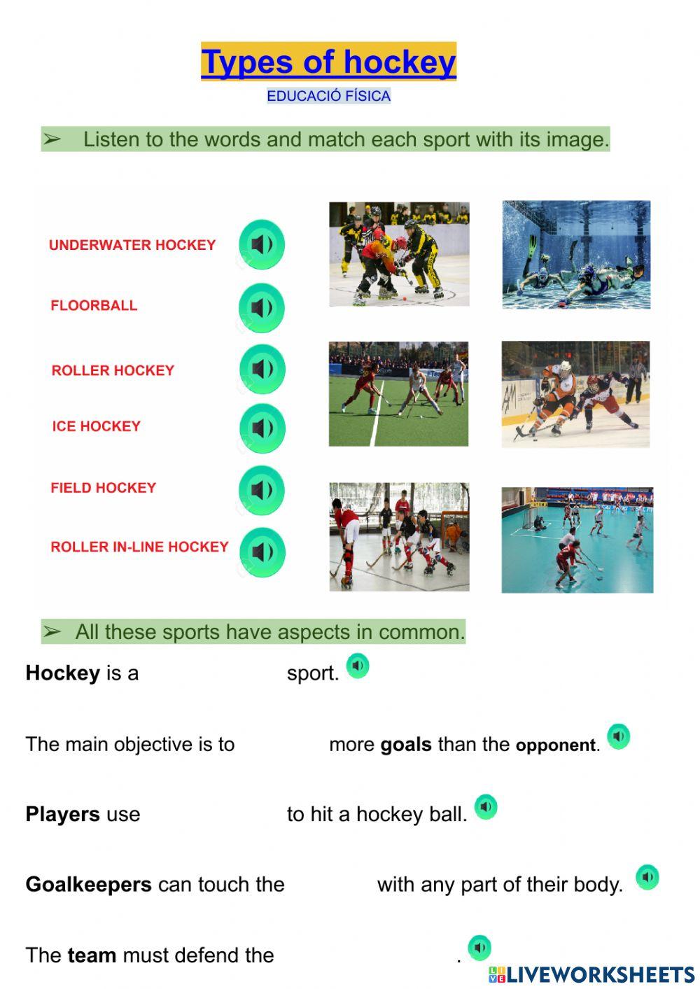 Types of hockey
