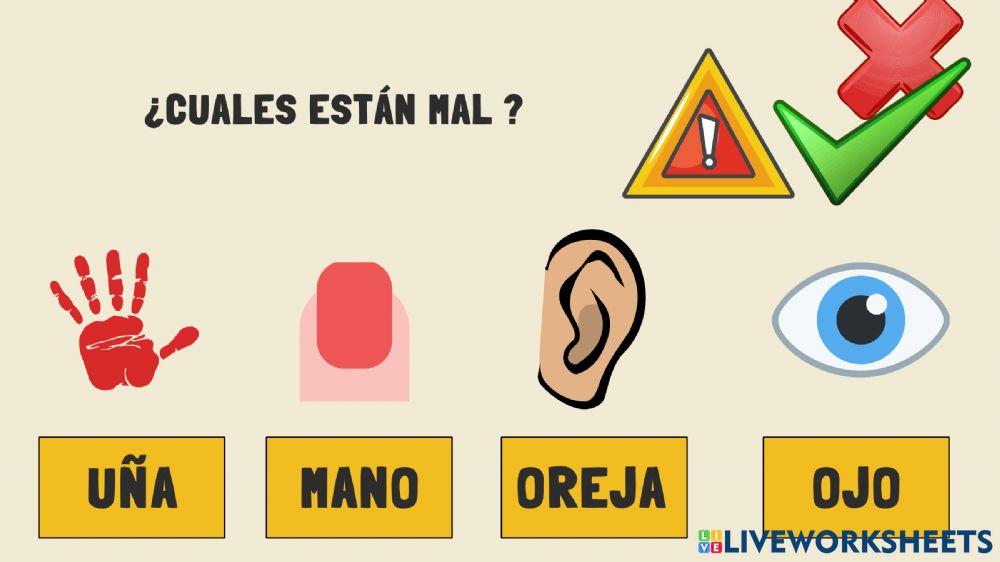 ¿Cuales están mal colocadas?