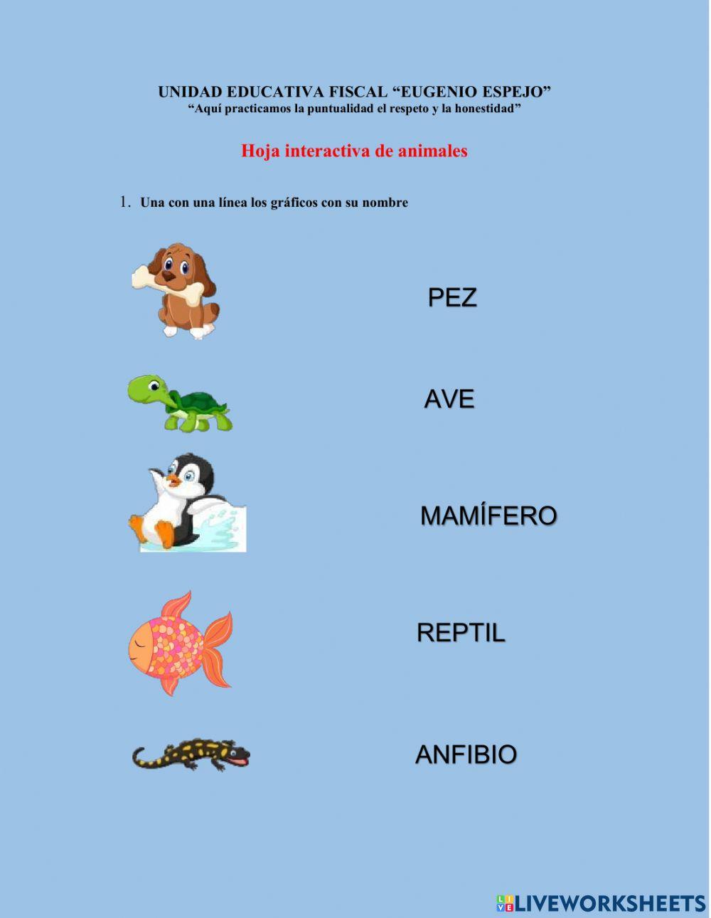Animales vertebrados