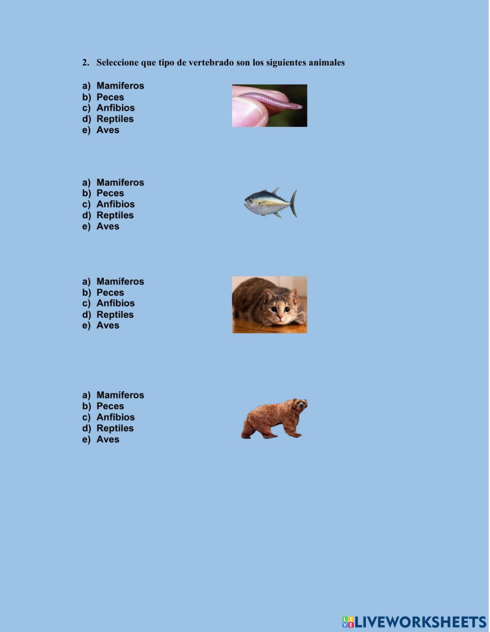 Animales vertebrados