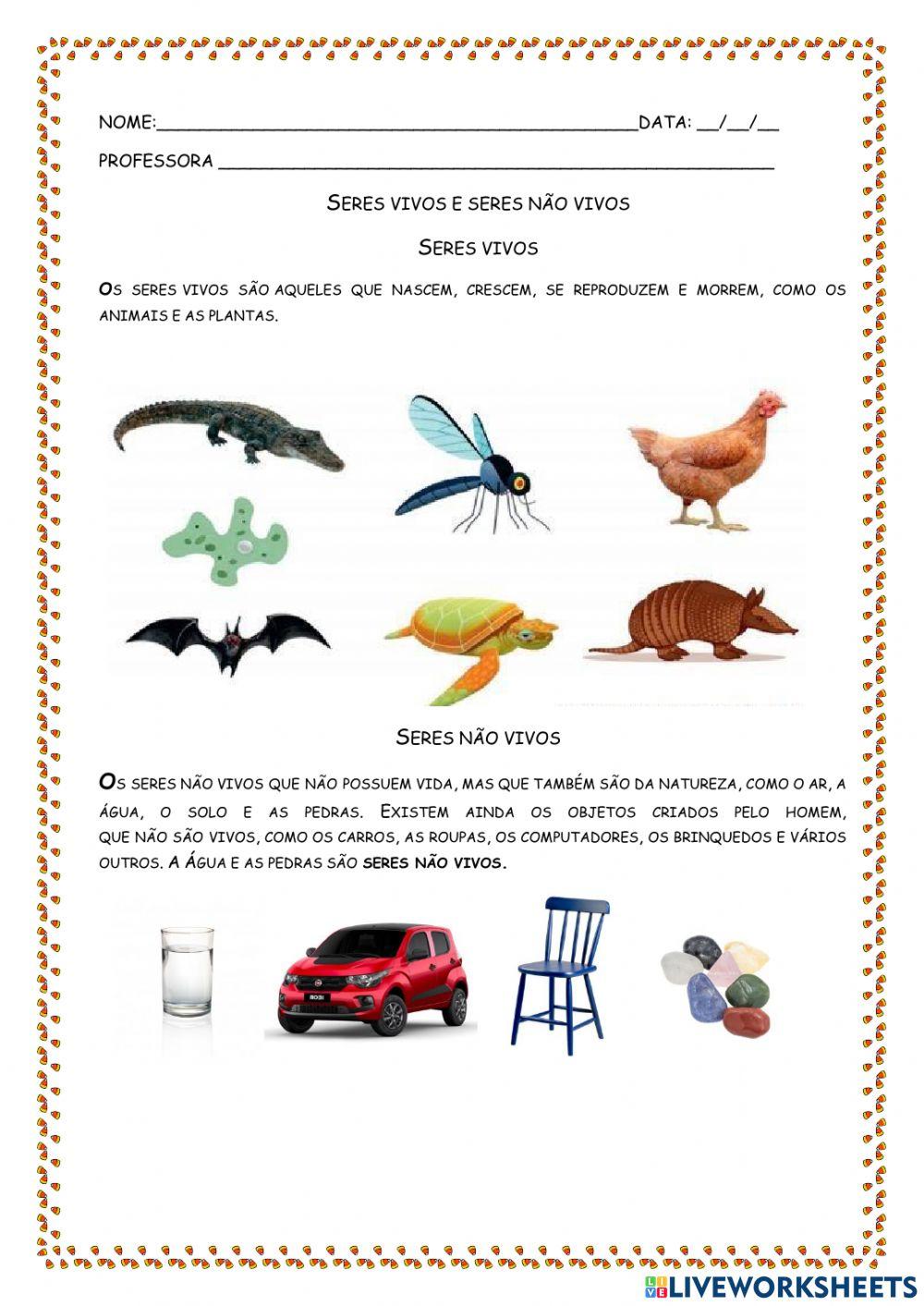 Seres vivos e não vivos