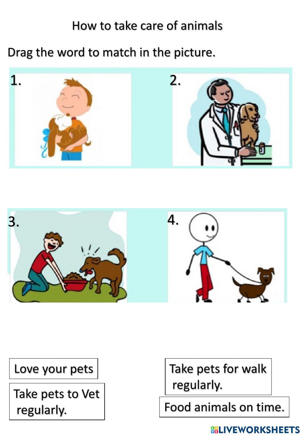 4869711-importance-and-taking-care-of-animals-claire