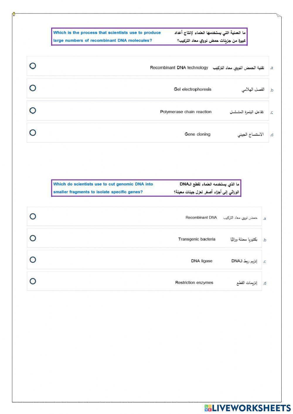 ورقة عمل تفاعلية