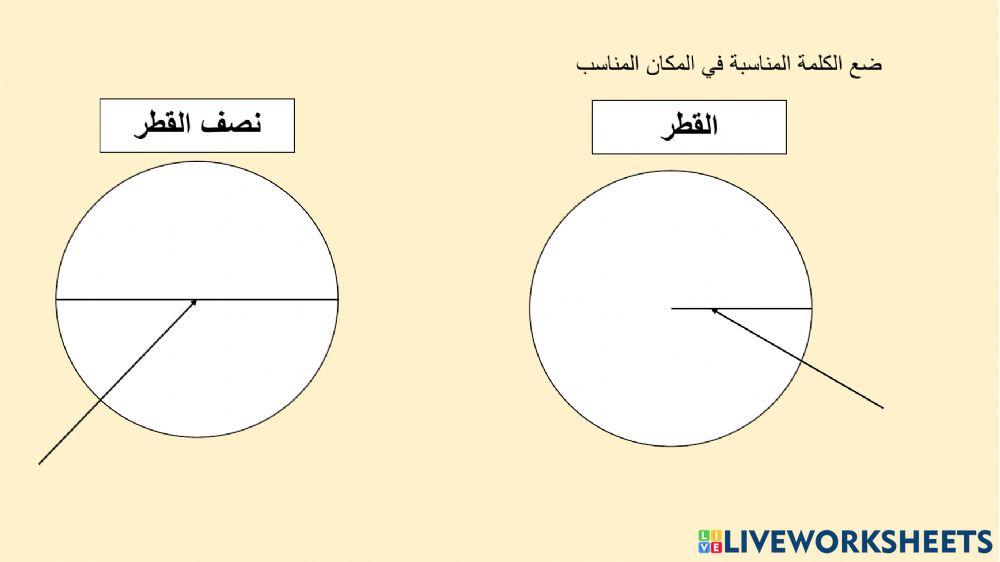 محيط الدائرة