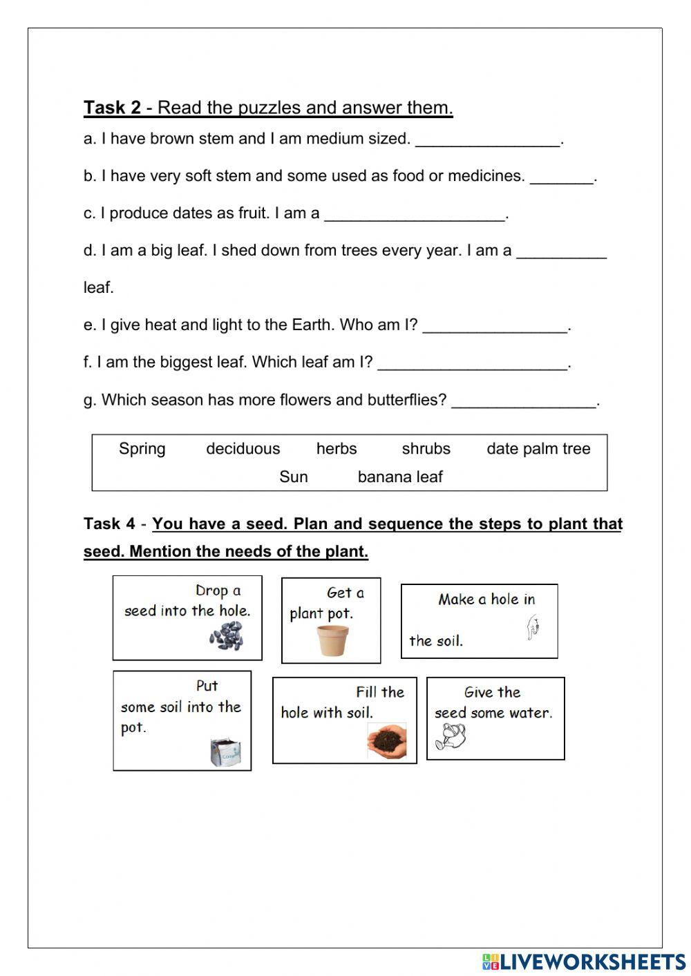 Herbs Shrubs and trees