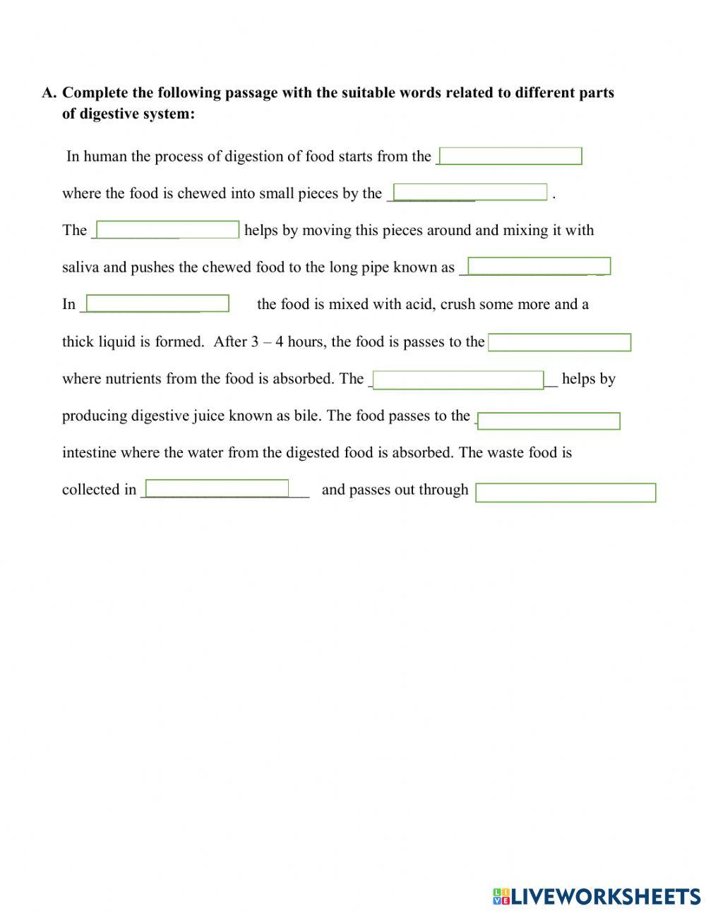 Fill in the gaps ( The Human digestive system) worksheet Live Worksheets Fill in the gaps ( The Human digestive system) worksheet Live Worksheets
