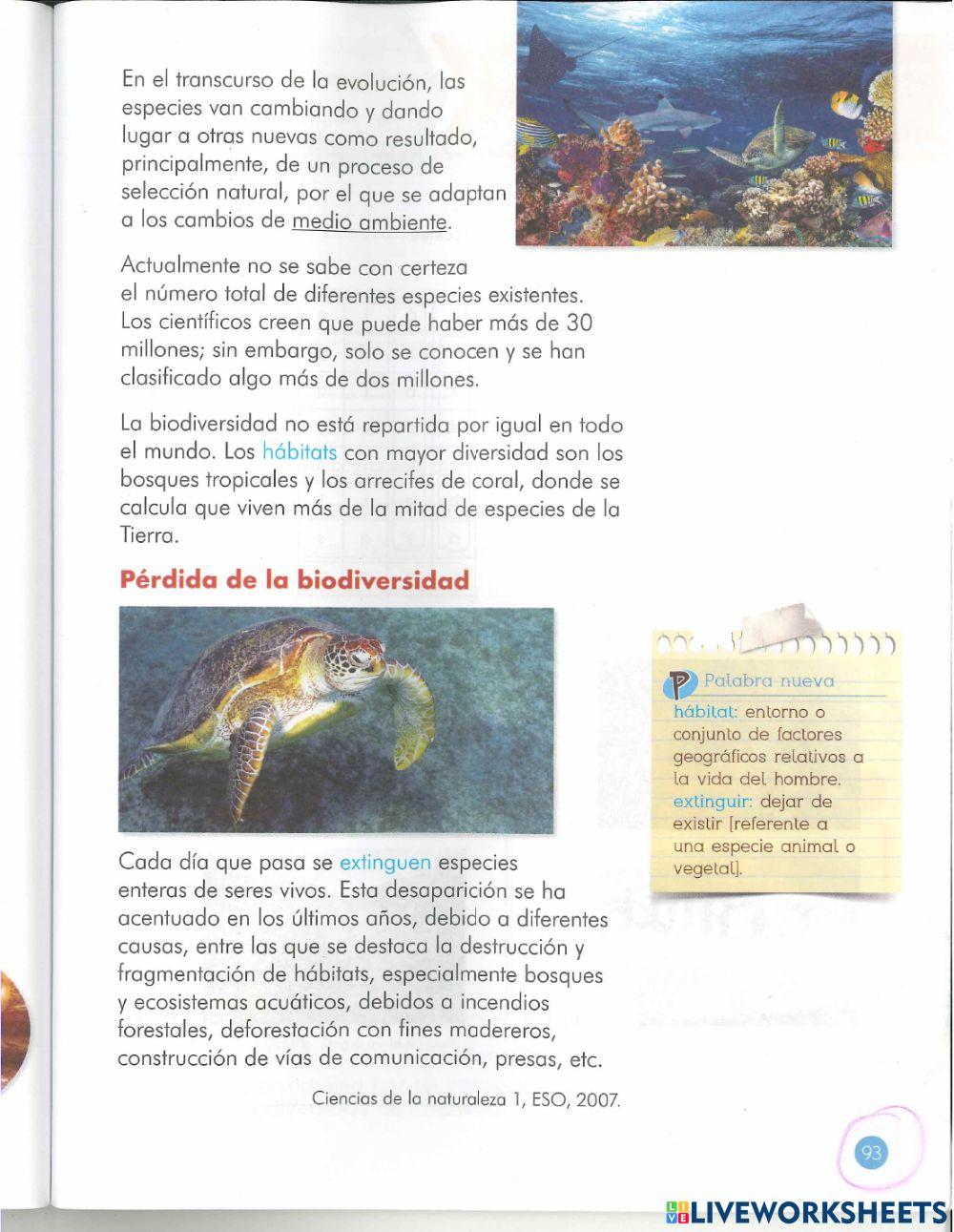 Lectura Lectura