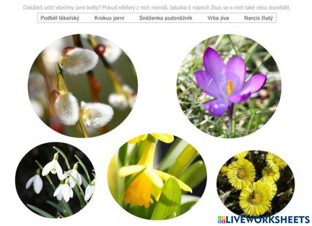 Prvouka, věcné učení