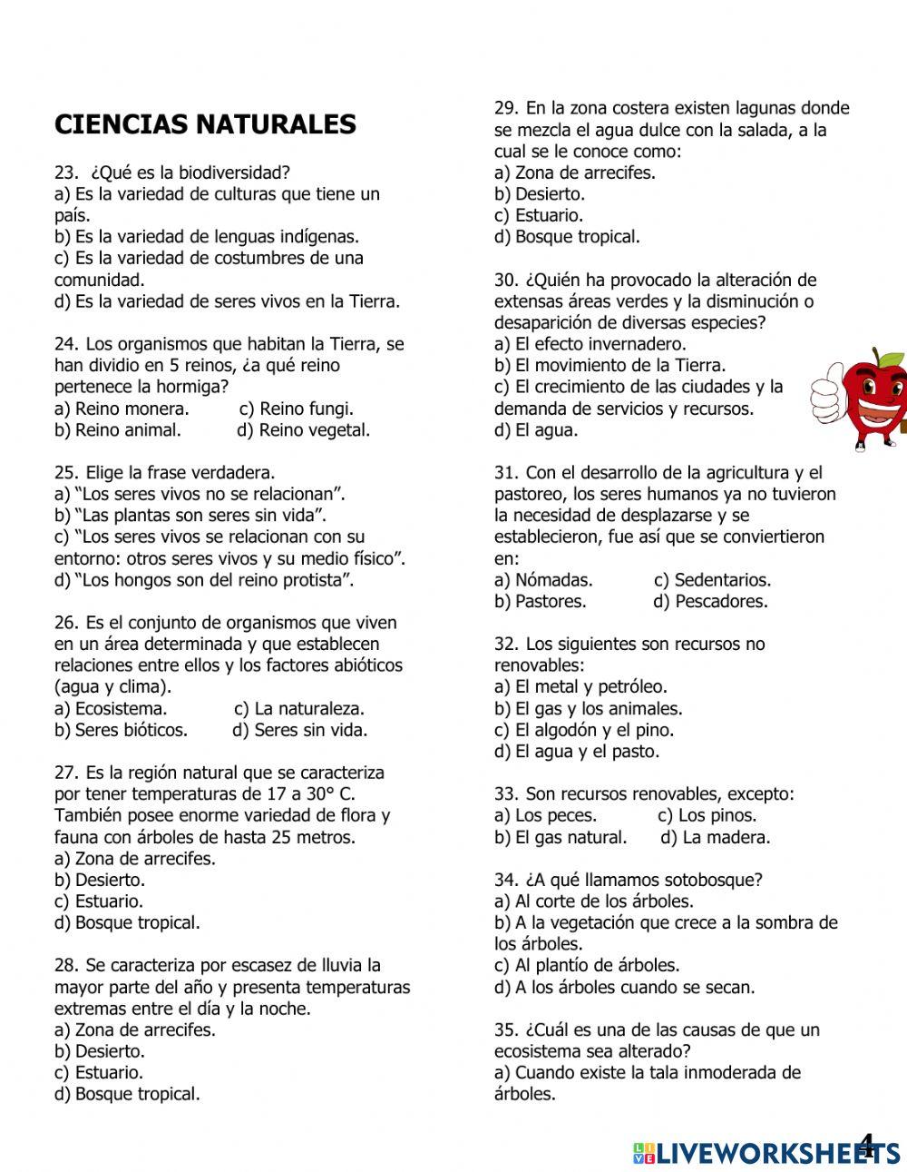 Repaso trimestral II quinto grado