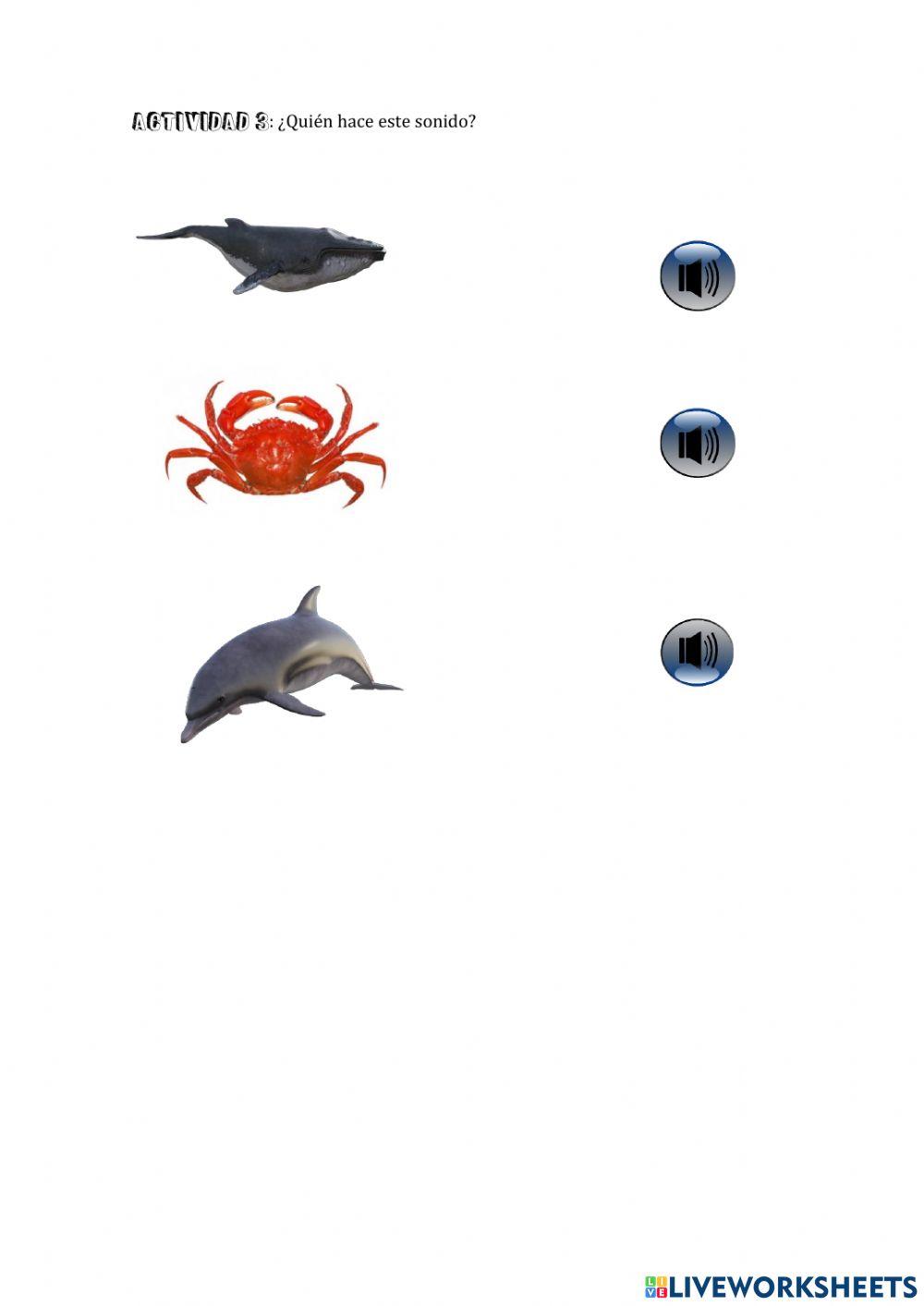 Los animales del mar