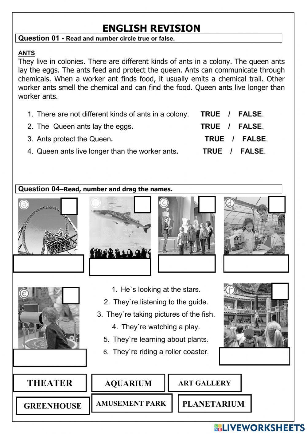 field-trip-interactive-worksheet-live-worksheets