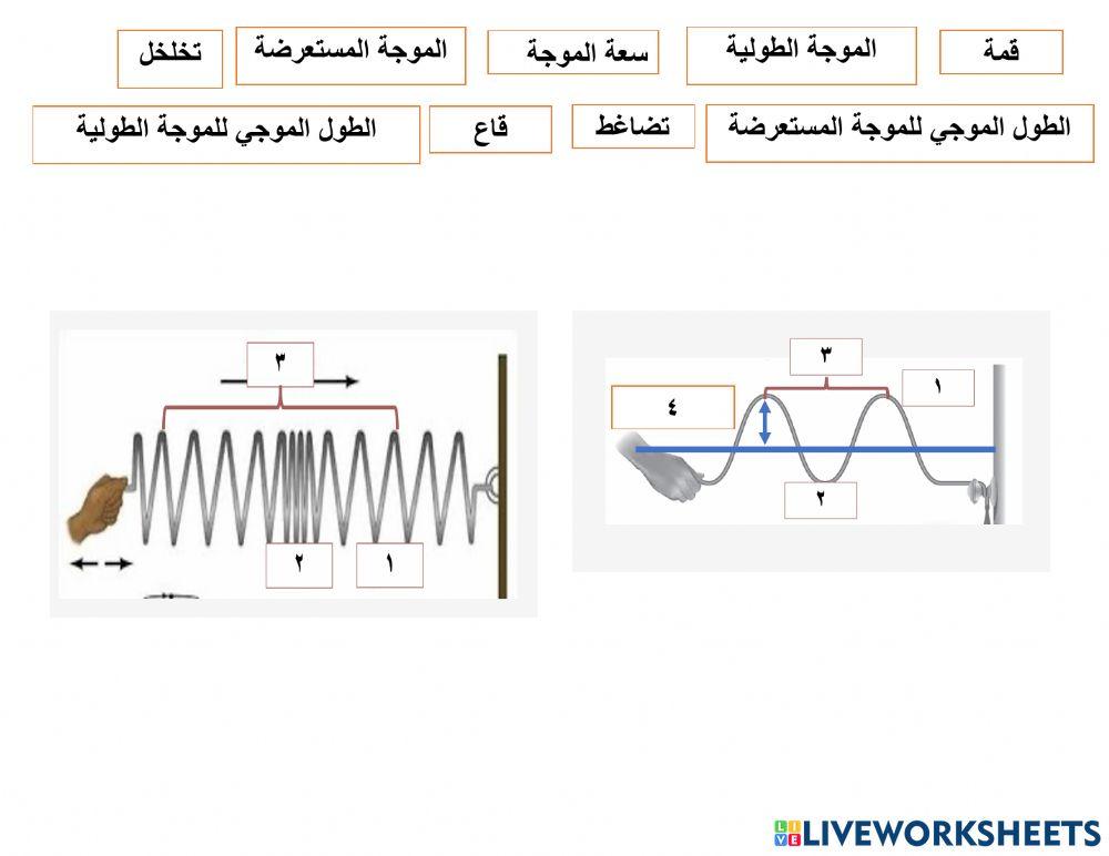 انواع الموجات