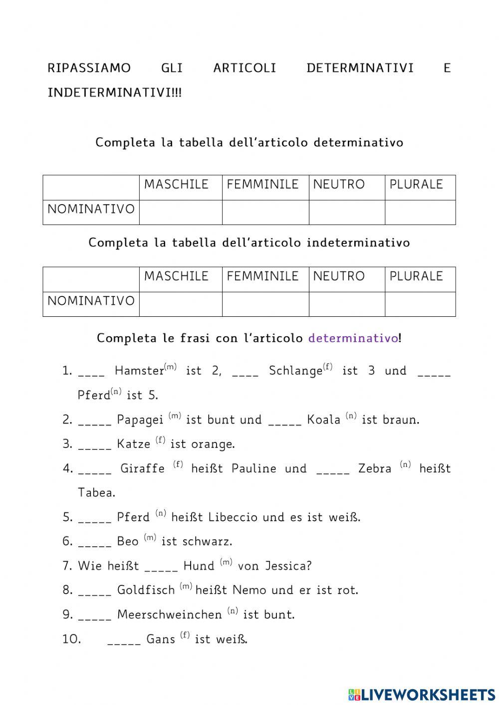 Esercizi articoli, pronomi, plurale